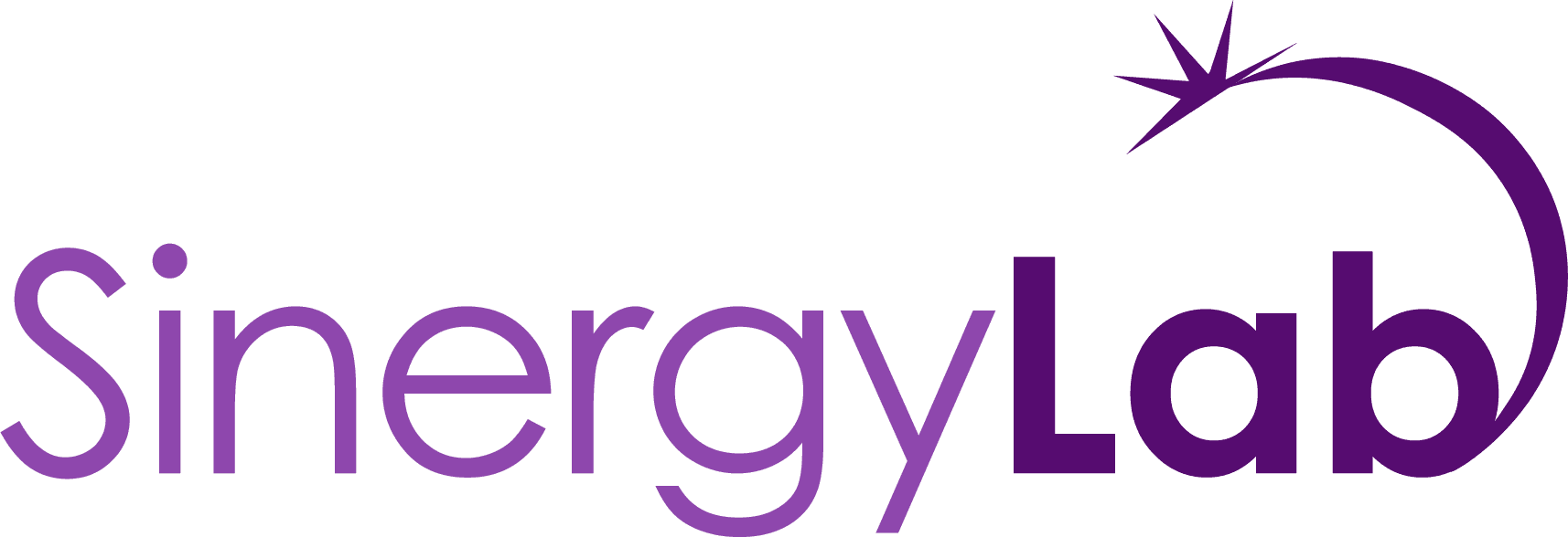 Sinergy Lab Logo